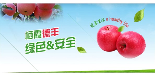 首批農(nóng)業(yè)國(guó)際貿(mào)易高質(zhì)量發(fā)展基地名單公布！