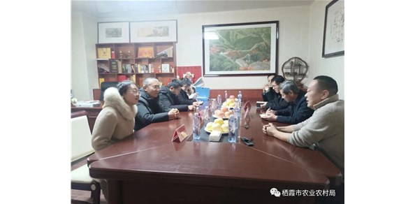 省農(nóng)業(yè)農(nóng)村廳檢查組來(lái)我市開展農(nóng)業(yè)標(biāo)準(zhǔn)化生產(chǎn)基地檢查驗(yàn)收